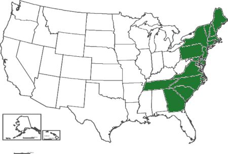 Iris prismatica distribution