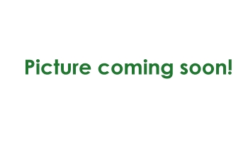 Picture coming soon