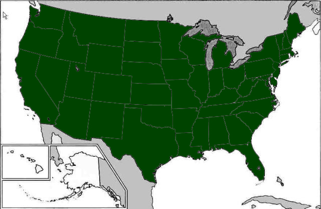 Cichorium intybus distribution