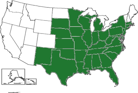 Chamaecristafasciculata distribution