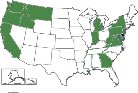 Chondrilla juncea distribution