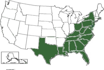 Chrysopsis mariana distribution