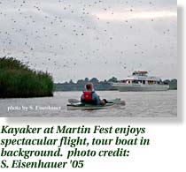 Kayaker at Martin Fest