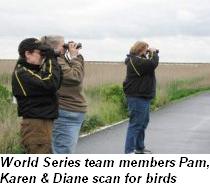 World Series of Birding