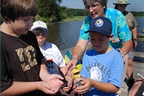 Purple Martin Banding