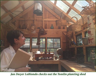 Jan Dwyer LoBiondo checks out the Tomlin planting shed