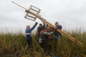 Erecting an Osprey Nest