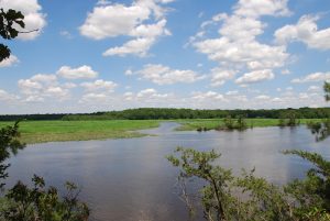 Natural Lands Peek Preserve as viewed from The Nature Conservancy's Bluff Preserve