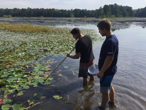 Dragon Fly sampling at Cumberland Pond