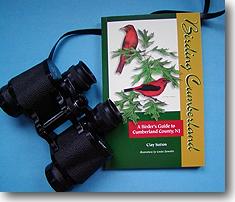 Birding Guide