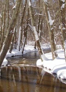 Panther Branch, Vineland, NJ