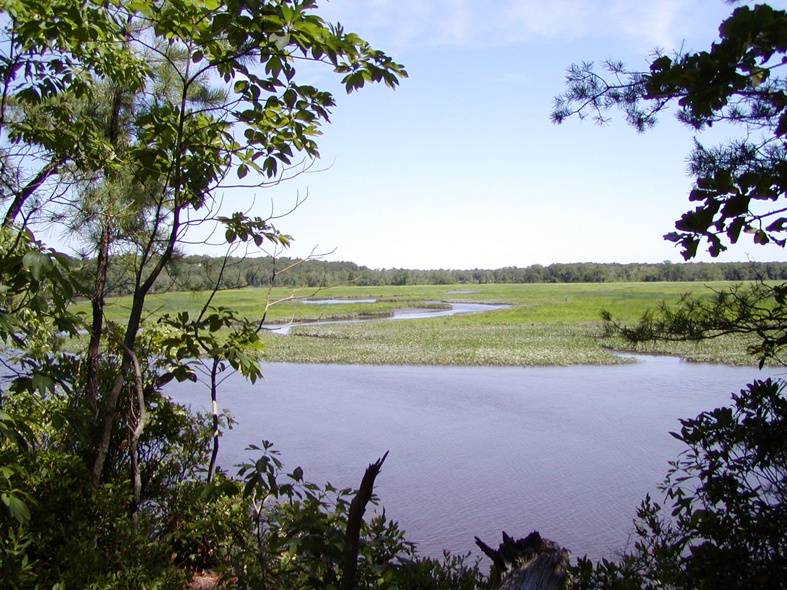 Maurice River CU Maurice River