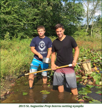 St. Augustine Prep interns