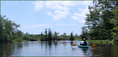 Menantico Ponds