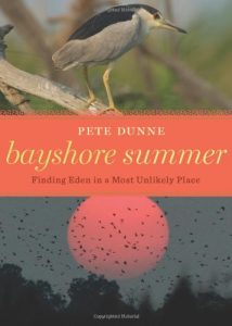 Bayshore Summer