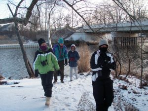 Winter Walk