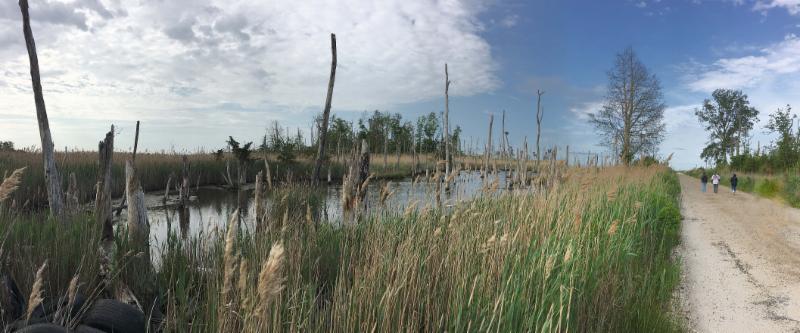 Hansey Creek Road