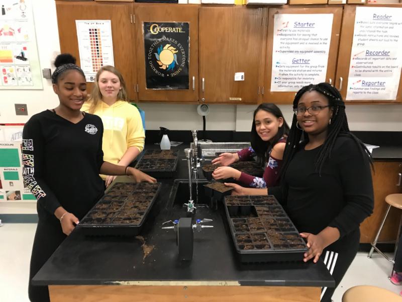 Lakeside students sowing seeds 