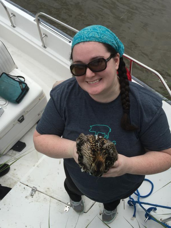 Meghan won the osprey banding experience at a Chili Bowl Auction two years ago! Here she is holding an osprey chick