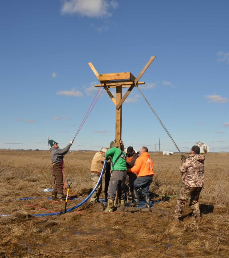 Raising osprey platform