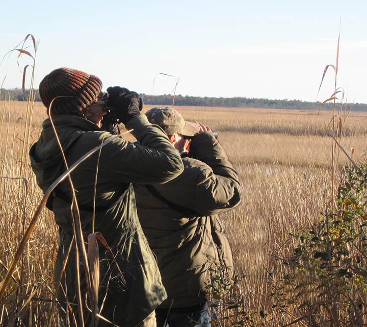 Christine and Wendy scanning the horizon for wildlife