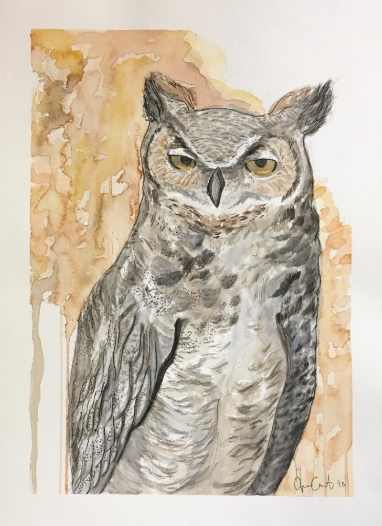 Great Horned Owl by Jessie Leigh Castor