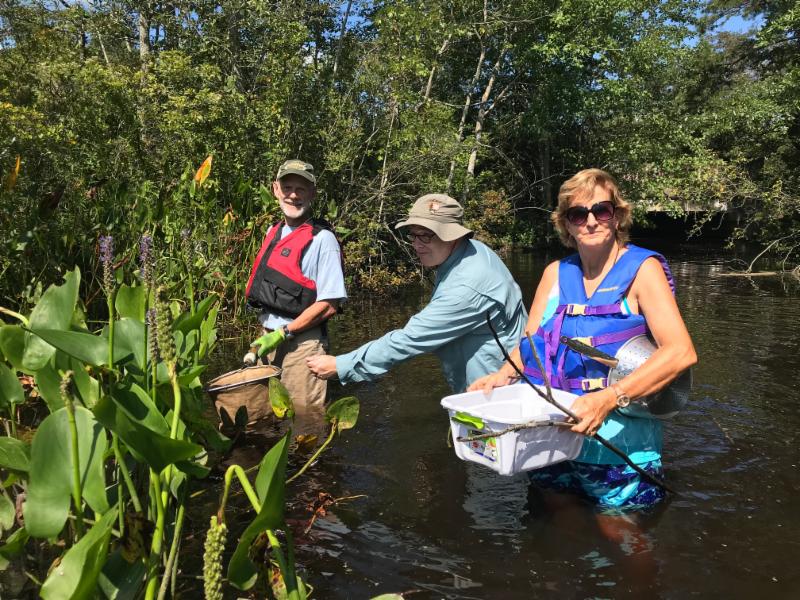 Dragonfly sampling, photo by K. Rossini