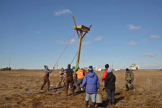 Raising an osprey platform