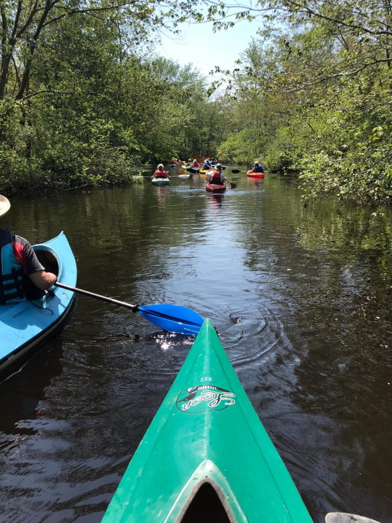 Willow Grove Paddle Still Run