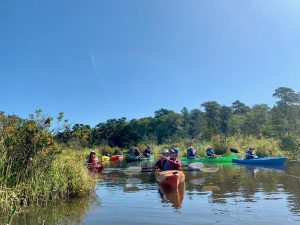 Paddling Muskee Creek